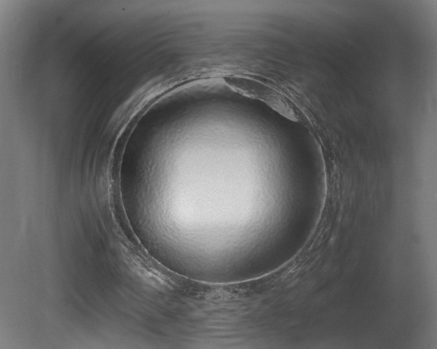X0000081350290200701111502