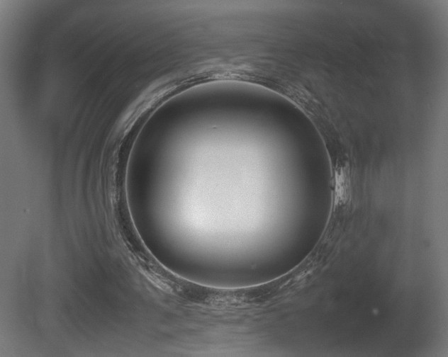 X0000081350291200701111502
