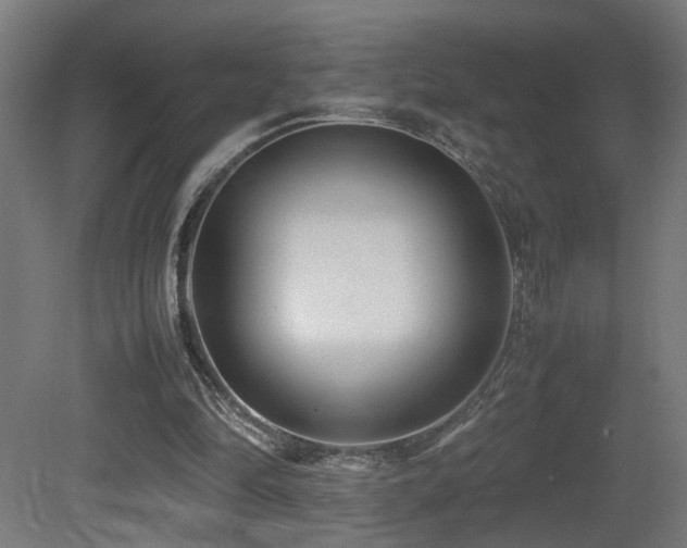 X0000081350294200701111502