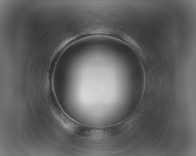 X0000081350298200701111502