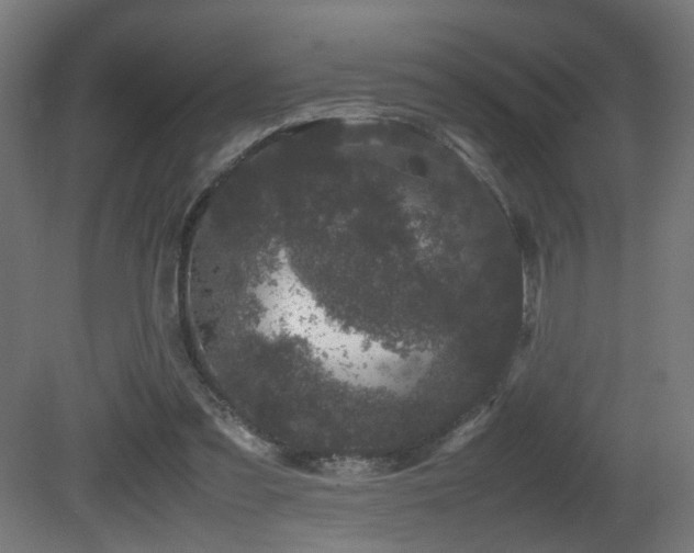 X0000081350301200701111502