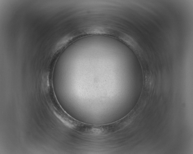 X0000081350302200701111502