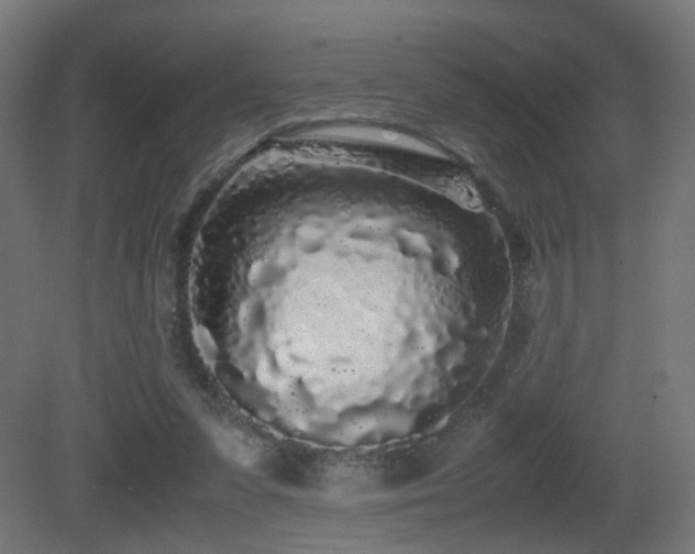 X0000081350303200701111502