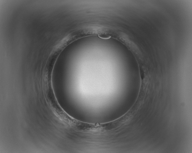 X0000081350306200701111502