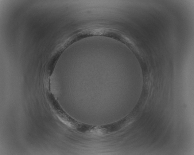X0000081350307200701111502