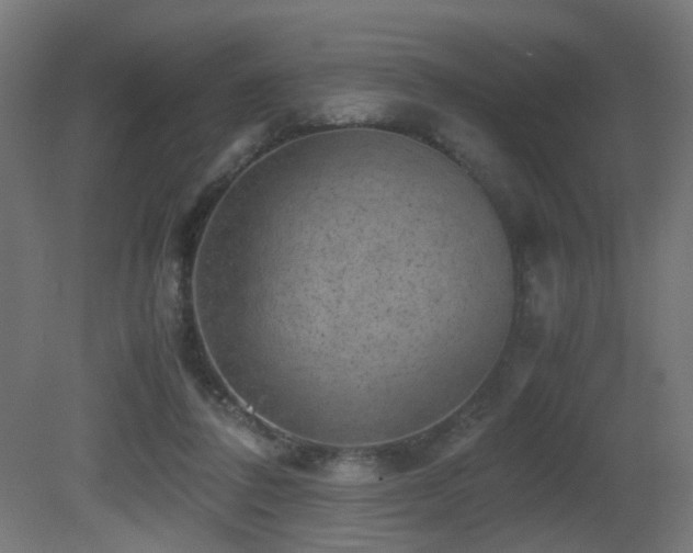 X0000081350308200701111502