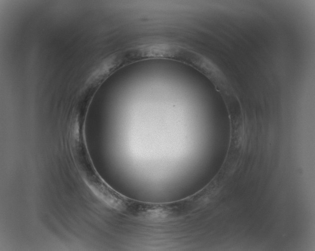 X0000081350310200701111502