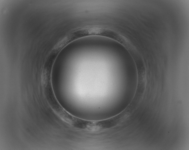 X0000081350311200701111502