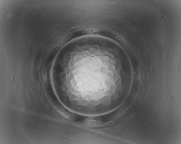 X0000081350315200701111502