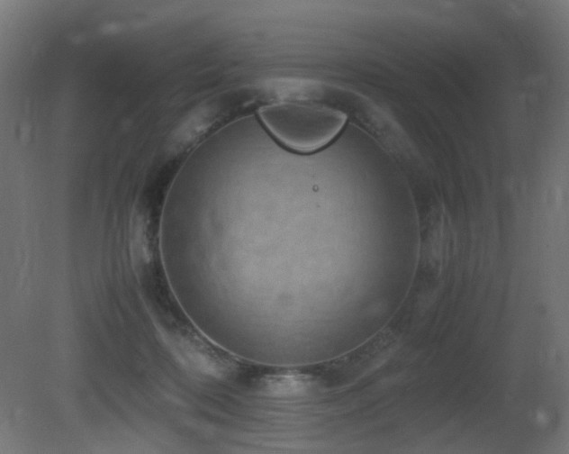 X0000081350316200701111502