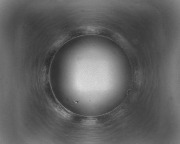 X0000081350318200701111502