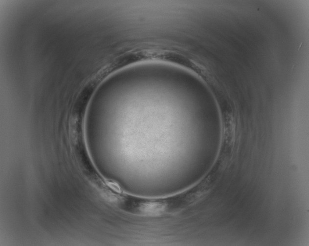 X0000081350319200701111502