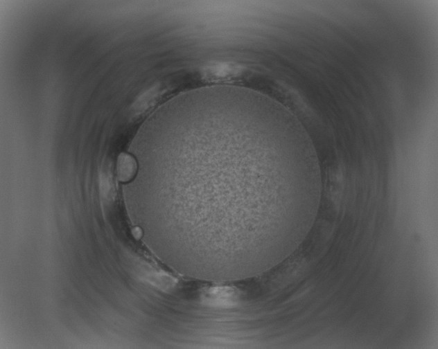 X0000081350324200701111502