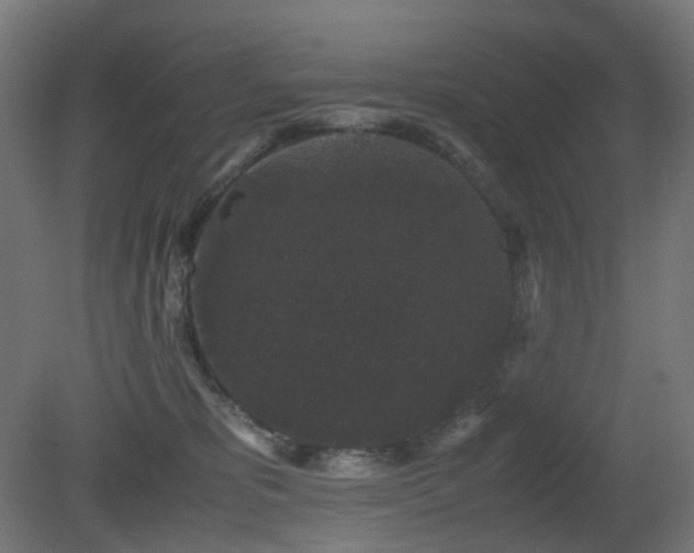 X0000081350325200701111502
