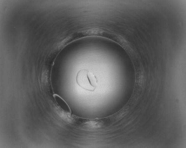 X0000081350326200701111502