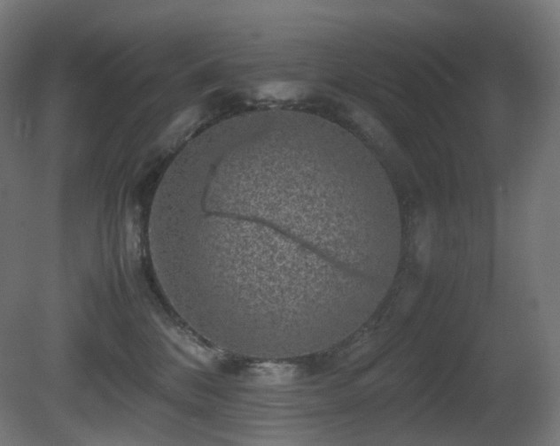 X0000081350328200701111502