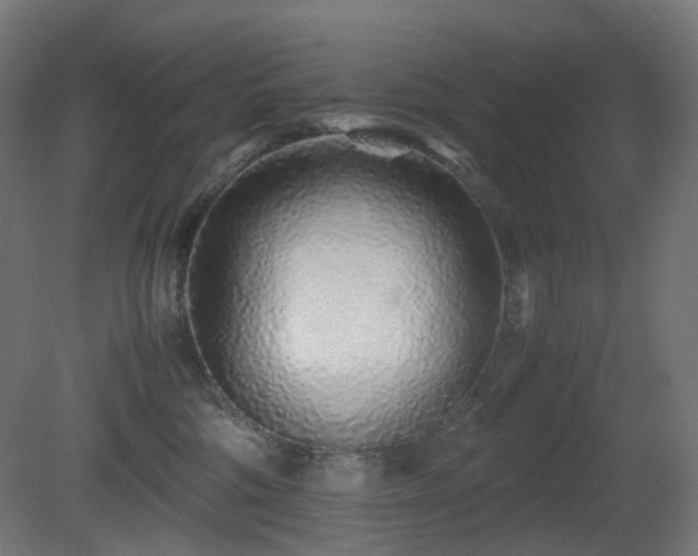 X0000081350330200701111502