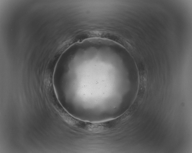 X0000081350331200701111501