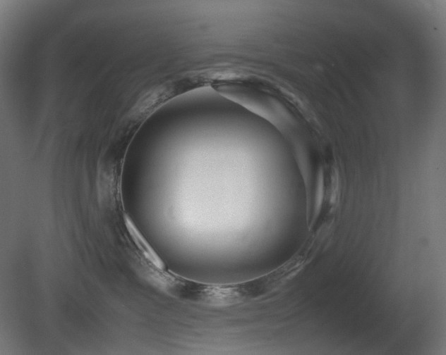 X0000081350333200701111501