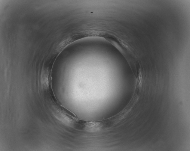 X0000081350334200701111501
