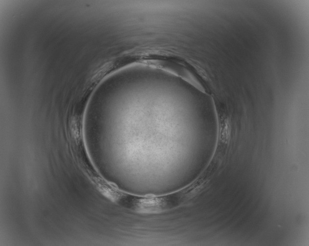 X0000081350335200701111501