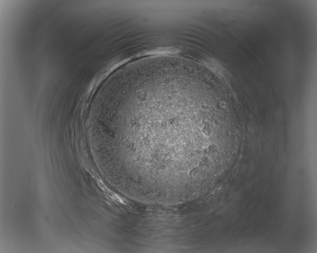 X0000081350337200701111501