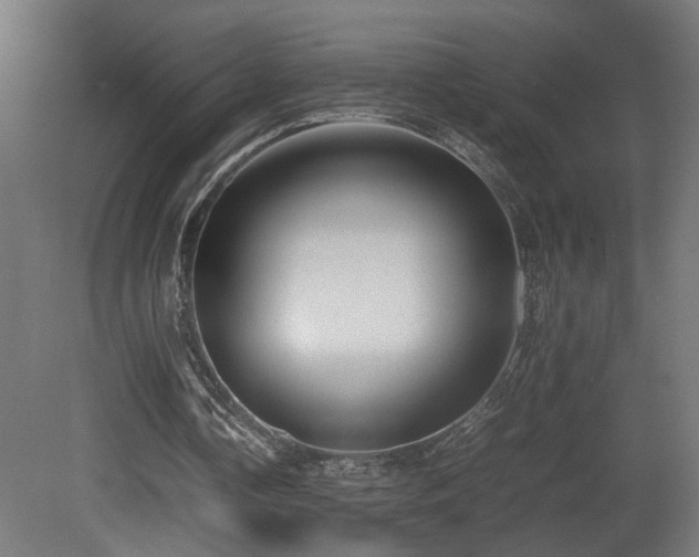 X0000081350338200701111501