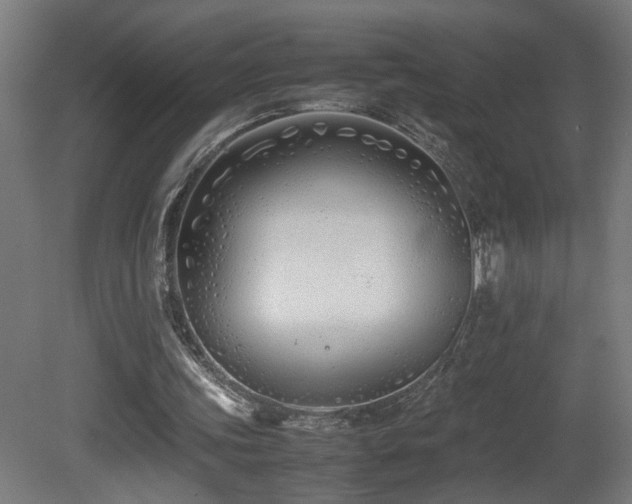 X0000081350339200701111501