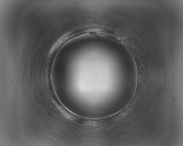 X0000081350341200701111501