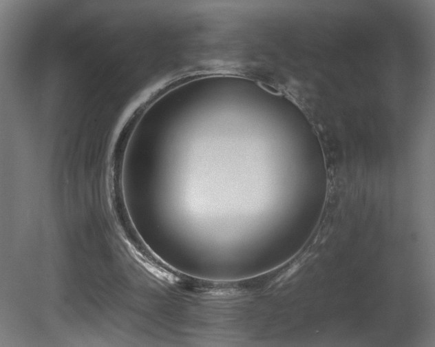 X0000081350342200701111501
