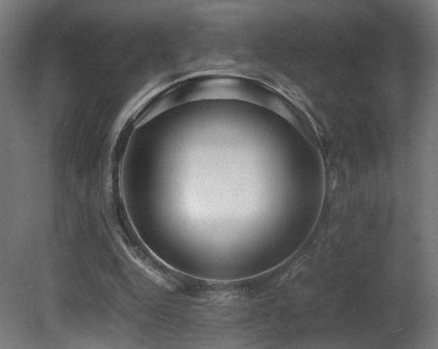 X0000081350344200701111501