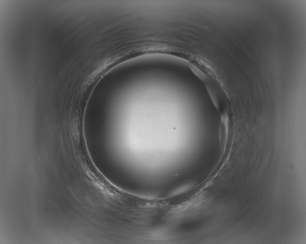 X0000081350345200701111501
