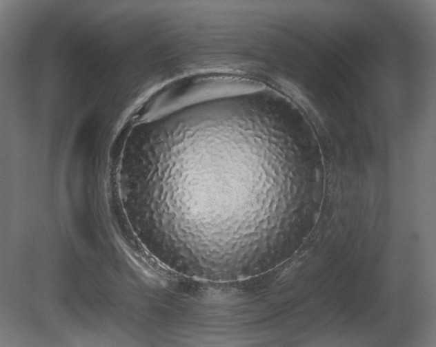 X0000081350346200701111501