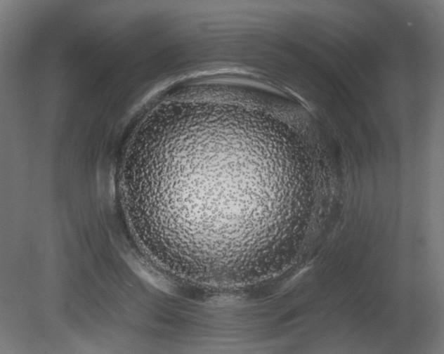 X0000081350350200701111501