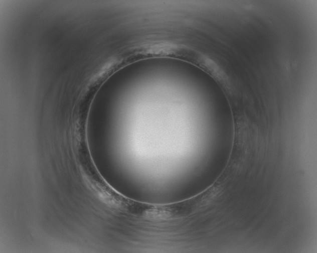 X0000081350354200701111501