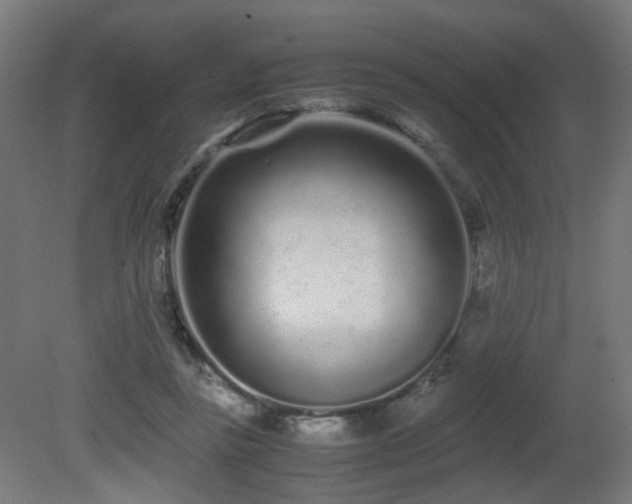 X0000081350355200701111501