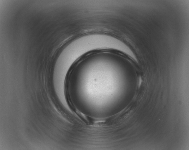 X0000081350356200701111501