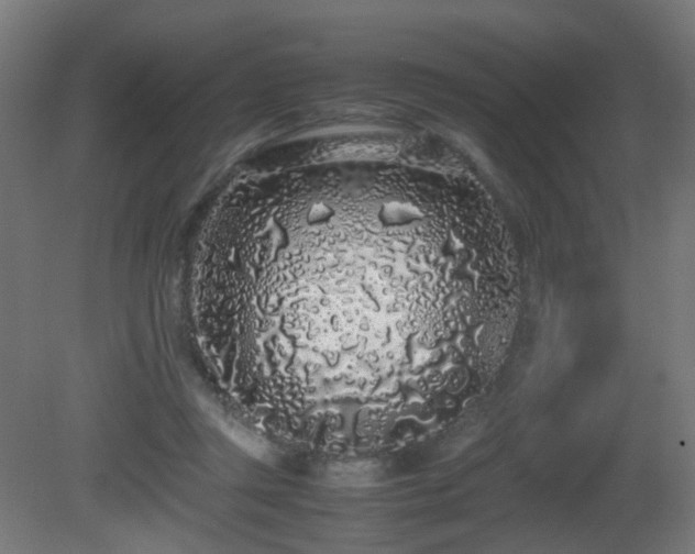 X0000081350357200701111501