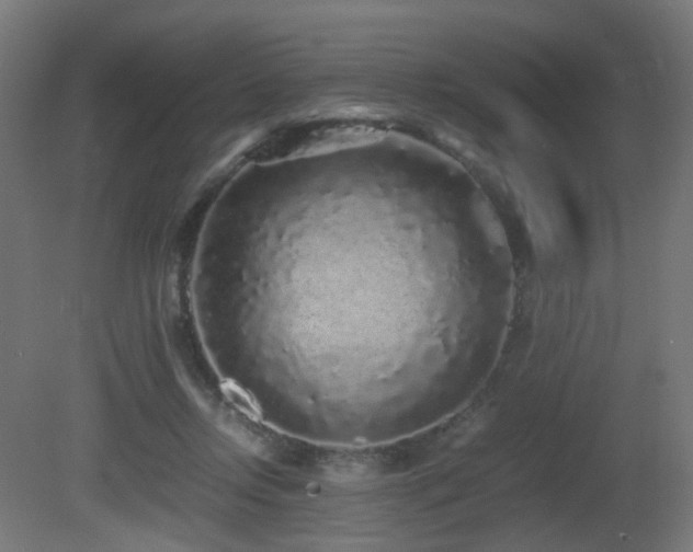 X0000081350358200701111501