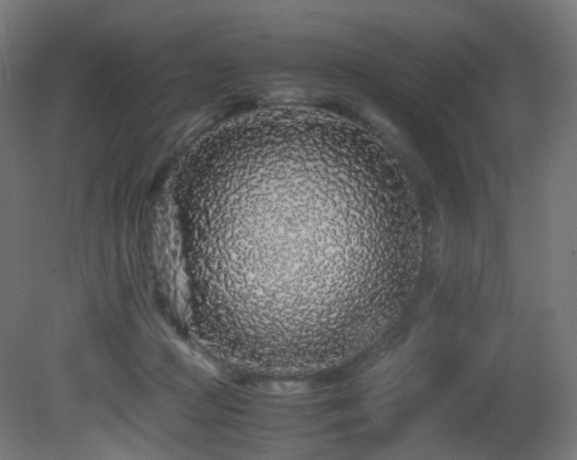 X0000081350361200701111501