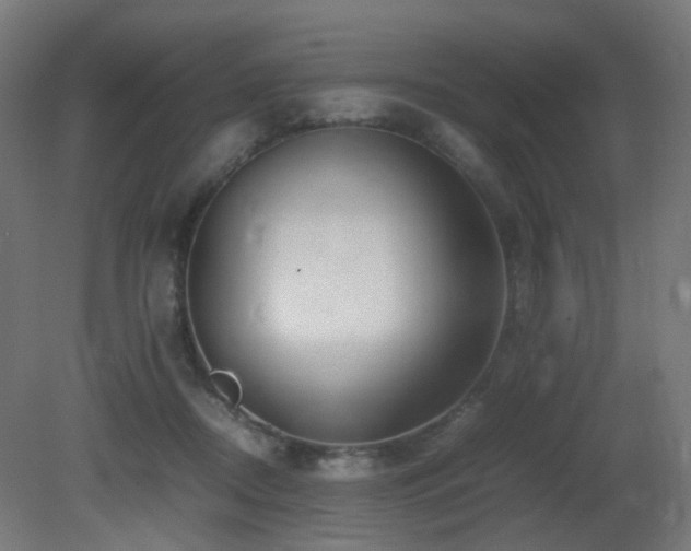 X0000081350362200701111501