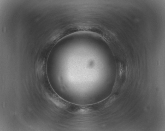 X0000081350364200701111501
