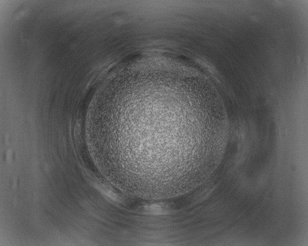 X0000081350365200701111501