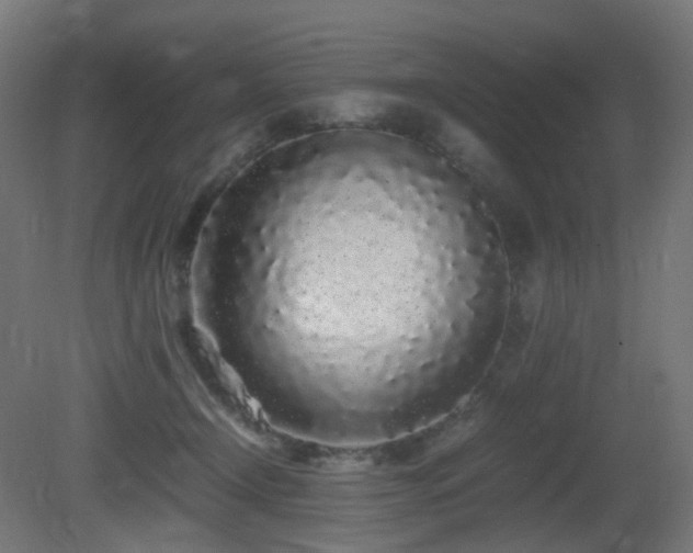 X0000081350366200701111501