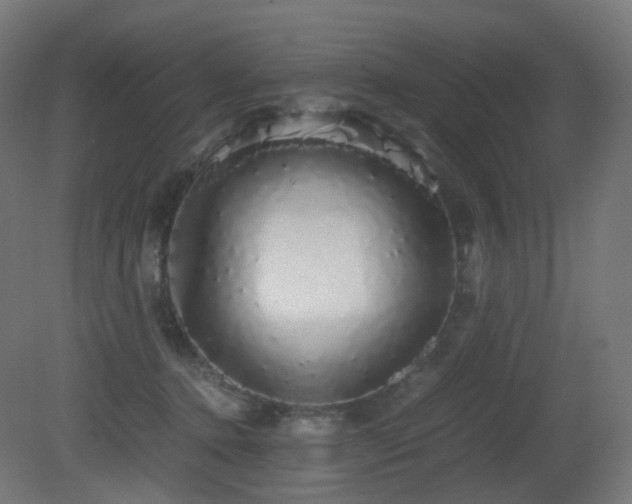 X0000081350368200701111501