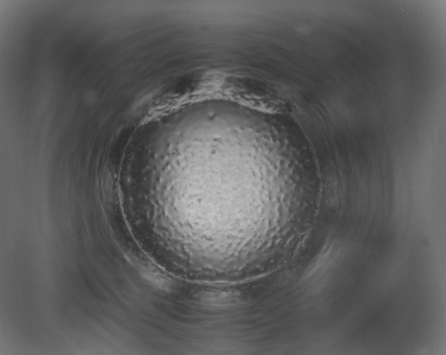 X0000081350375200701111501