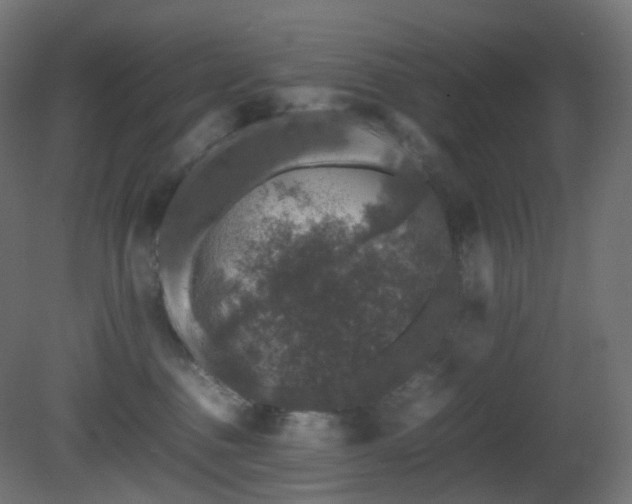 X0000081350376200701111501