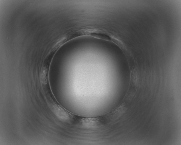 X0000081350378200701111501