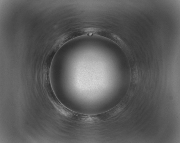 X0000081350379200701111501