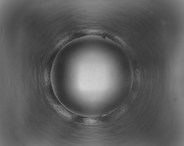 X0000081350380200701111501